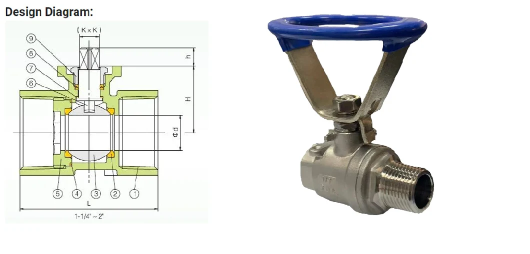 CE M/F Thread 2PC Ball Valve with Oval Handle Industrial Stainless Steel