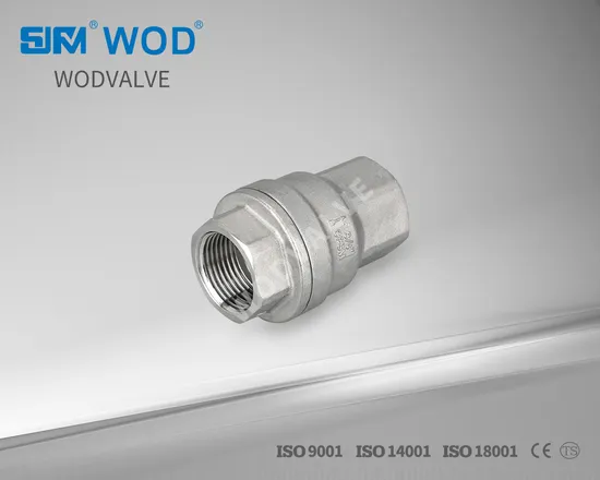 H12 Non-Return Check Valve Vertical Spring Check Valve Stainless Steel