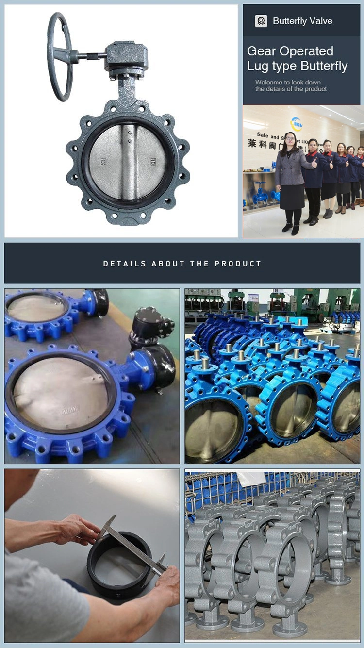 Worm Gear Lug Wafer Pn10/Pn16 Ductile Iron/Cast Iron Butterfly Valves