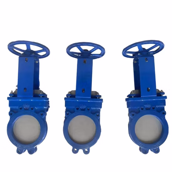 Cast Carbon Steel Wcb API 150lb 800lb Pn16 Pn25 Pn64 Gate Valve Flanged Connection Gate Valve